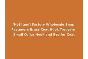 [Hot Item] Factory Wholesale Snap Fasteners Brass Coat Hook Trousers Small Collar Hook and Eye for Coat
