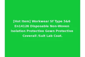 [Hot Item] Workwear Sf Type 5&6 En14126 Disposable Non-Woven Isolation Protective Gown Protective Coverall /Suit Lab Coat.