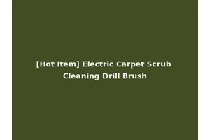[Hot Item] Electric Carpet Scrub Cleaning Drill Brush