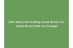 [Hot Item] Hot Selling Snow Brush Car Snow Brush with Ice Scraper