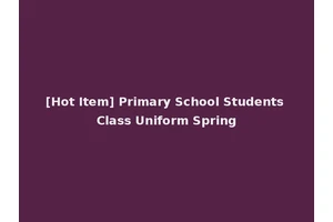 [Hot Item] Primary School Students Class Uniform Spring