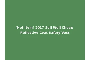 [Hot Item] 2017 Sell Well Cheap Reflective Coat Safety Vest