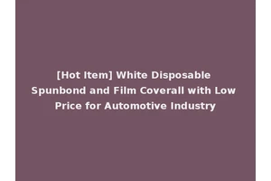 [Hot Item] White Disposable Spunbond and Film Coverall with Low Price for Automotive Industry