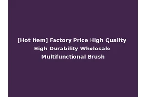 [Hot Item] Factory Price High Quality High Durability Wholesale Multifunctional Brush