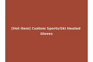 [Hot Item] Custom Sports/Ski Heated Gloves