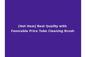 [Hot Item] Best Quality with Favorable Price Tube Cleaning Brush