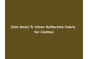 [Hot Item] Tc Silver Reflective Fabric for Clothes