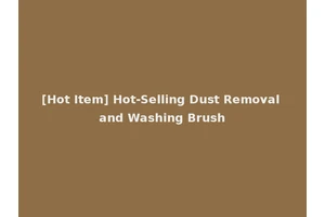 [Hot Item] Hot-Selling Dust Removal and Washing Brush