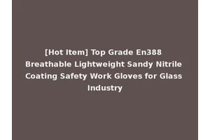 [Hot Item] Top Grade En388 Breathable Lightweight Sandy Nitrile Coating Safety Work Gloves for Glass Industry