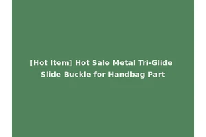 [Hot Item] Hot Sale Metal Tri-Glide Slide Buckle for Handbag Part