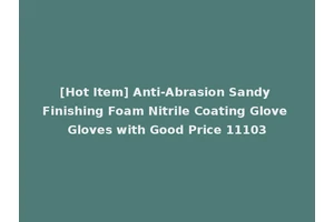 [Hot Item] Anti-Abrasion Sandy Finishing Foam Nitrile Coating Glove Gloves with Good Price 11103