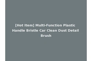 [Hot Item] Multi-Function Plastic Handle Bristle Car Clean Dust Detail Brush