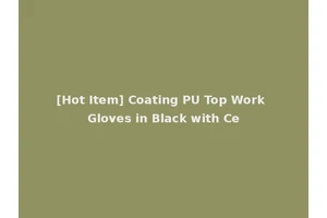 [Hot Item] Coating PU Top Work Gloves in Black with Ce