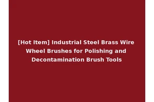 [Hot Item] Industrial Steel Brass Wire Wheel Brushes for Polishing and Decontamination Brush Tools