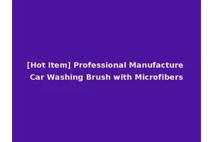 [Hot Item] Professional Manufacture Car Washing Brush with Microfibers