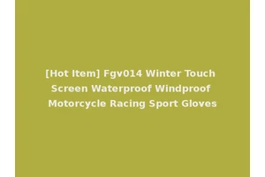 [Hot Item] Fgv014 Winter Touch Screen Waterproof Windproof Motorcycle Racing Sport Gloves