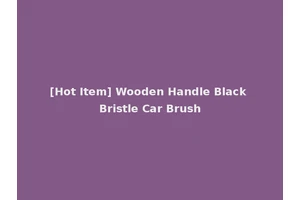 [Hot Item] Wooden Handle Black Bristle Car Brush