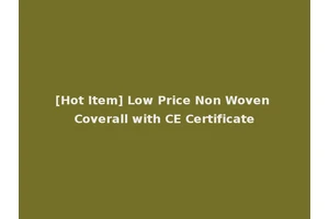 [Hot Item] Low Price Non Woven Coverall with CE Certificate