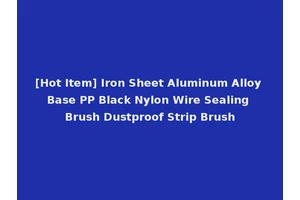 [Hot Item] Iron Sheet Aluminum Alloy Base PP Black Nylon Wire Sealing Brush Dustproof Strip Brush