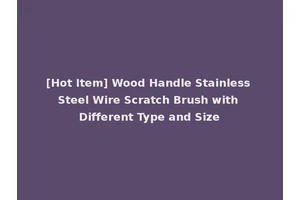 [Hot Item] Wood Handle Stainless Steel Wire Scratch Brush with Different Type and Size
