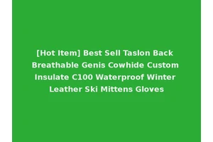 [Hot Item] Best Sell Taslon Back Breathable Genis Cowhide Custom Insulate C100 Waterproof Winter Leather Ski Mittens Gloves