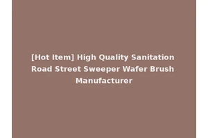 [Hot Item] High Quality Sanitation Road Street Sweeper Wafer Brush Manufacturer