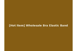 [Hot Item] Wholesale Bra Elastic Band