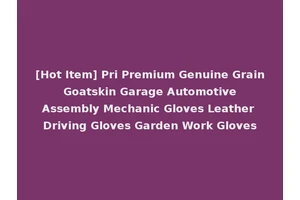 [Hot Item] Pri Premium Genuine Grain Goatskin Garage Automotive Assembly Mechanic Gloves Leather Driving Gloves Garden Work Gloves
