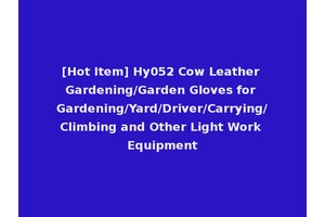 [Hot Item] Hy052 Cow Leather Gardening/Garden Gloves for Gardening/Yard/Driver/Carrying/Climbing and Other Light Work Equipment