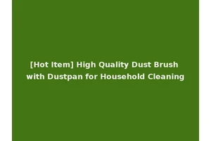 [Hot Item] High Quality Dust Brush with Dustpan for Household Cleaning