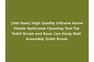 [Hot Item] High Quality Silicone Home Plastic Bathroom Cleaning Tool Trp Toilet Brush and Base Can Hang Wall Assembly Toilet Brush