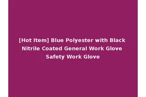[Hot Item] Blue Polyester with Black Nitrile Coated General Work Glove Safety Work Glove