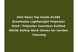 [Hot Item] Top Grade En388 Breathable Lightweight Polyester Shell / Polyester Seamless Knitted Nitrile Safety Work Gloves for Garden Cleaning