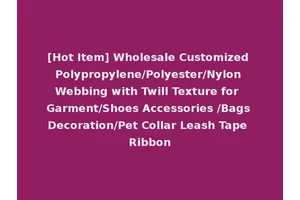 [Hot Item] Wholesale Customized Polypropylene/Polyester/Nylon Webbing with Twill Texture for Garment/Shoes Accessories /Bags Decoration/Pet Collar Leash Tape Ribbon