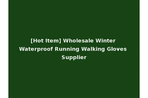 [Hot Item] Wholesale Winter Waterproof Running Walking Gloves Supplier