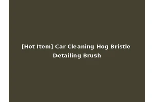 [Hot Item] Car Cleaning Hog Bristle Detailing Brush
