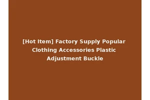 [Hot Item] Factory Supply Popular Clothing Accessories Plastic Adjustment Buckle