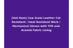 [Hot Item] Cow Grain Leather Cut Resistant / Heat Resistant Work / Mechanical Gloves with TPR and Aramid Fabric Lining