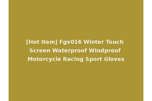 [Hot Item] Fgv016 Winter Touch Screen Waterproof Windproof Motorcycle Racing Sport Gloves