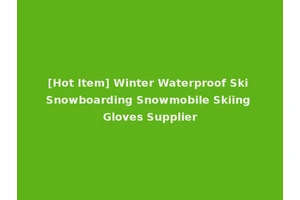 [Hot Item] Winter Waterproof Ski Snowboarding Snowmobile Skiing Gloves Supplier
