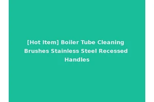 [Hot Item] Boiler Tube Cleaning Brushes Stainless Steel Recessed Handles