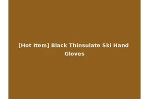 [Hot Item] Black Thinsulate Ski Hand Gloves