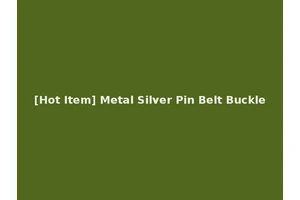[Hot Item] Metal Silver Pin Belt Buckle