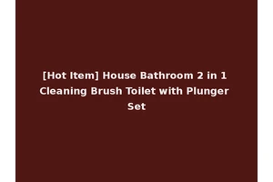 [Hot Item] House Bathroom 2 in 1 Cleaning Brush Toilet with Plunger Set