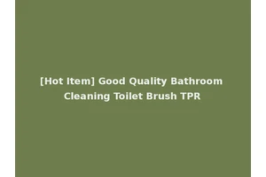[Hot Item] Good Quality Bathroom Cleaning Toilet Brush TPR