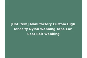 [Hot Item] Manufactory Custom High Tenacity Nylon Webbing Tape Car Seat Belt Webbing