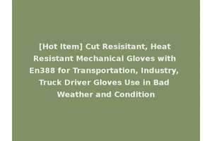 [Hot Item] Cut Resisitant, Heat Resistant Mechanical Gloves with En388 for Transportation, Industry, Truck Driver Gloves Use in Bad Weather and Condition