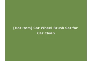 [Hot Item] Car Wheel Brush Set for Car Clean