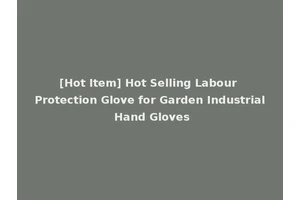 [Hot Item] Hot Selling Labour Protection Glove for Garden Industrial Hand Gloves
