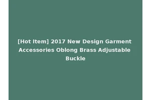 [Hot Item] 2017 New Design Garment Accessories Oblong Brass Adjustable Buckle